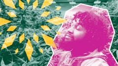 image-of-seeds-of-change-cannabis-equity-report