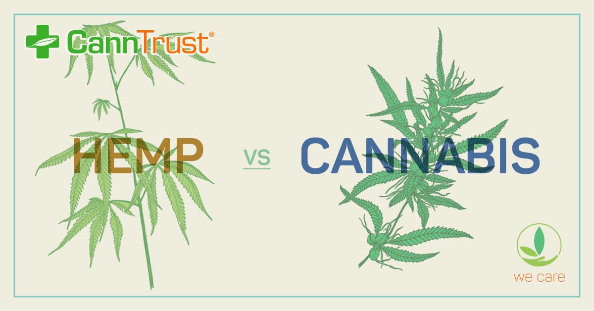 Charges laid in CannTrust growing scandal image