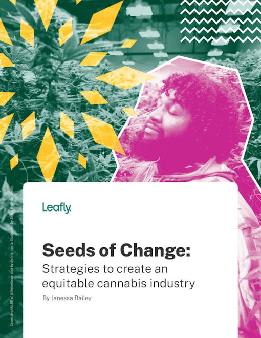 A Black cannabis worker inspects a flower bud in this image that opens the Leafly white paper Seeds of Change 2021 as a .pdf.