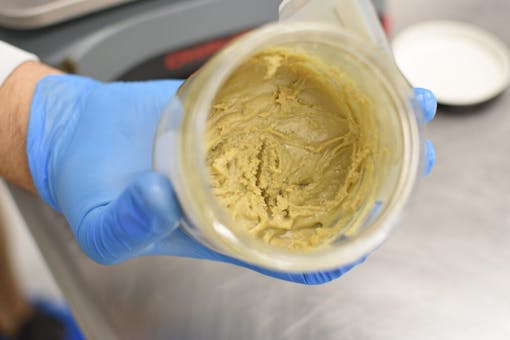 Critical Concentrates ‘live rosin’ in a jar has a white color and batter consistency and comes from fresh frozen flower and solventless extraction. Potent. Hyper-flavorful. Pure plant resin. (Photo by Jimi Devine for Leafly)