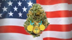 Weed nug wearing medals over American flag
