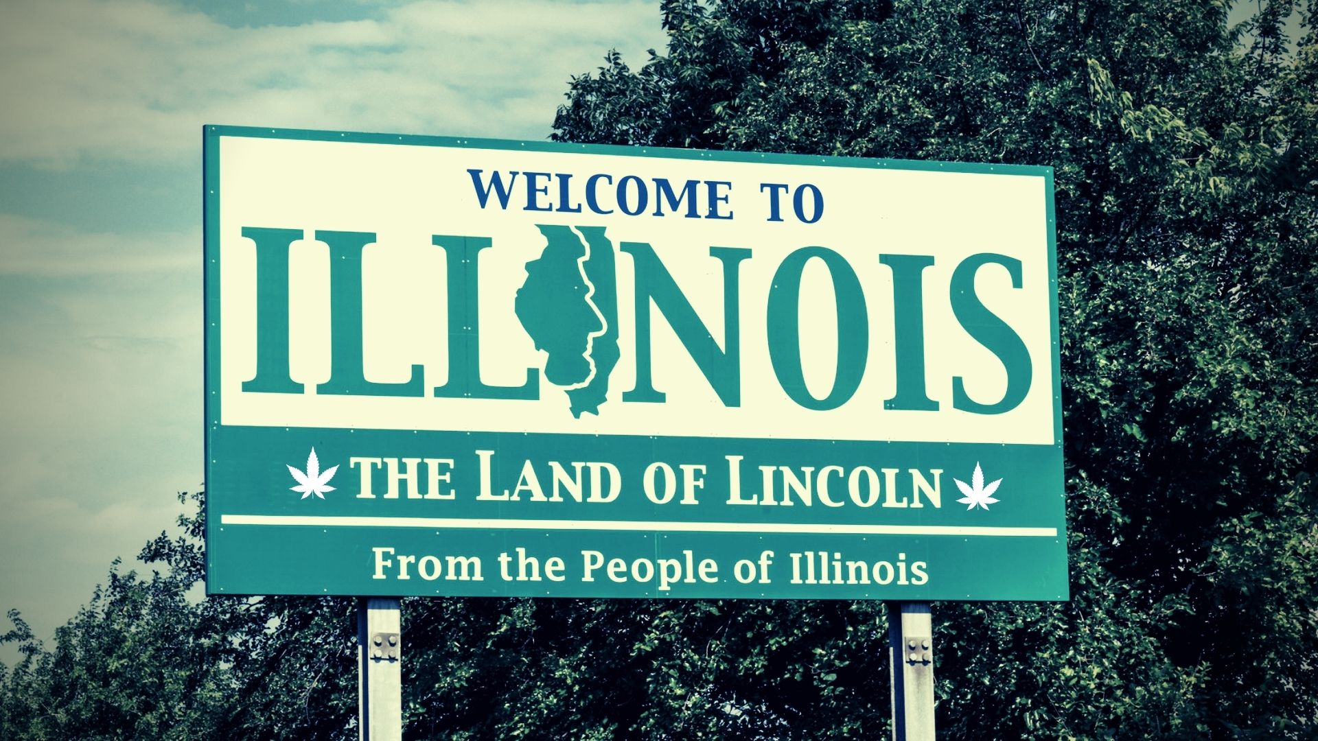 The most popular weed strains in Illinois Leafly