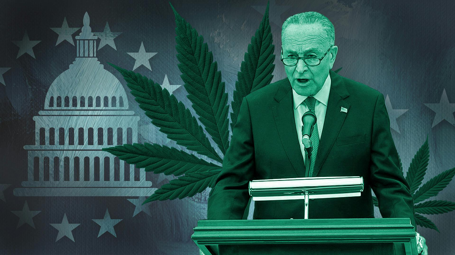 Sen. Chuck Schumer: Congress will advance legalization after election image