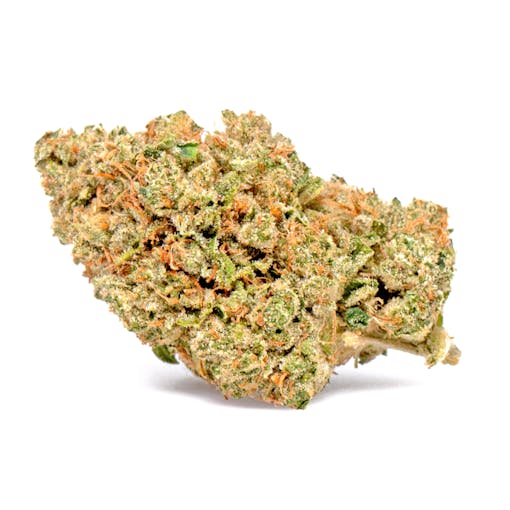 Source's King Louis OG comes from indoor soil beds. (Courtesy SOURCE Cannabis)