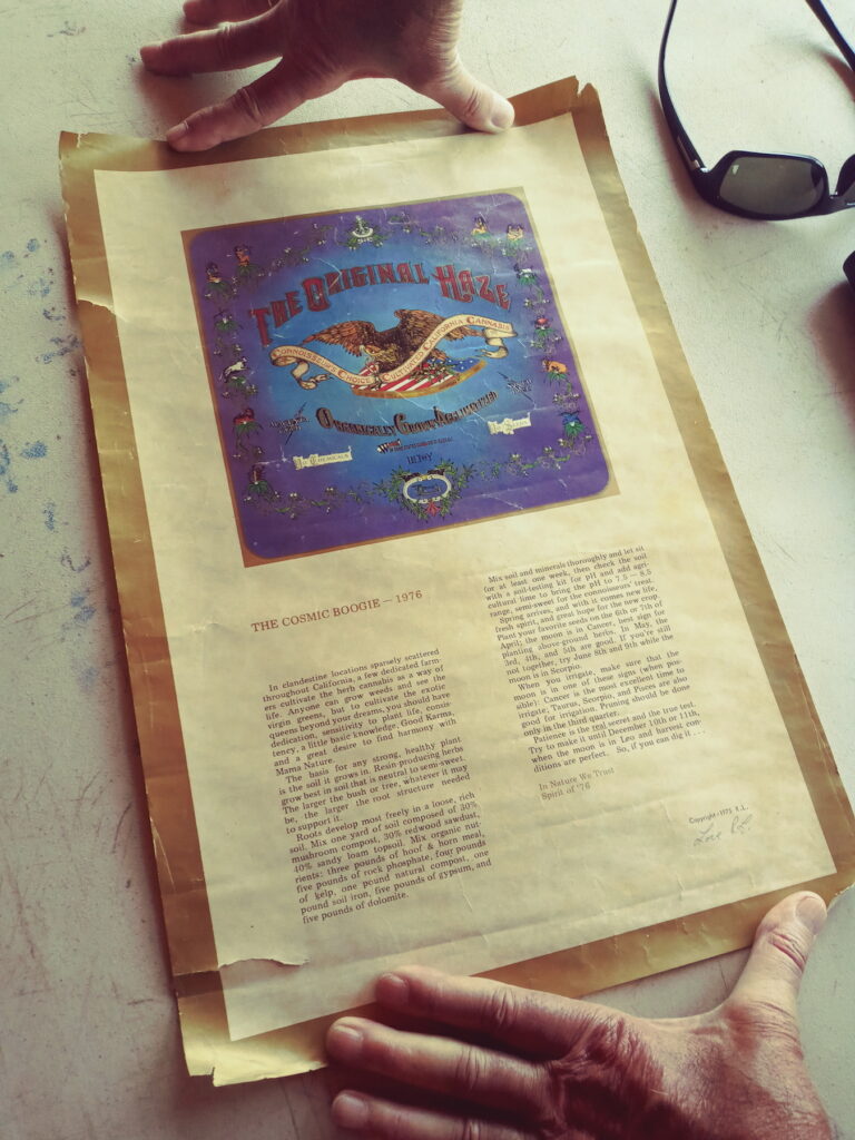 Branded pot from the before times: A 1976 Haze seed scroll. (Ellen Holland for Leafly)