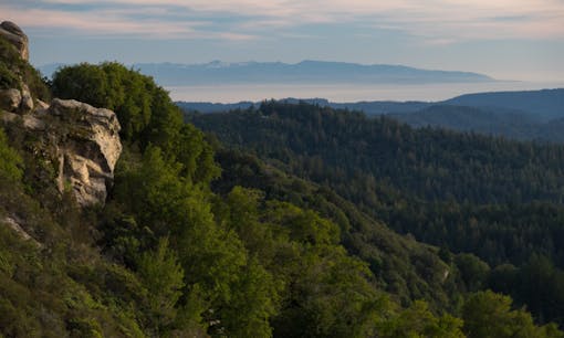 The Santa Cruz mountains offer perfect conditions for cannabis. (Flickr/dolske)