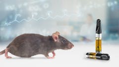 A picture of a lab rat approaching a disposable vape cart. A Leafly illustration for a vape safety story about the additive phytol.