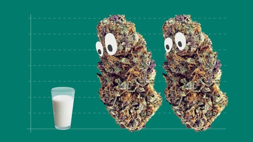 milk and weed