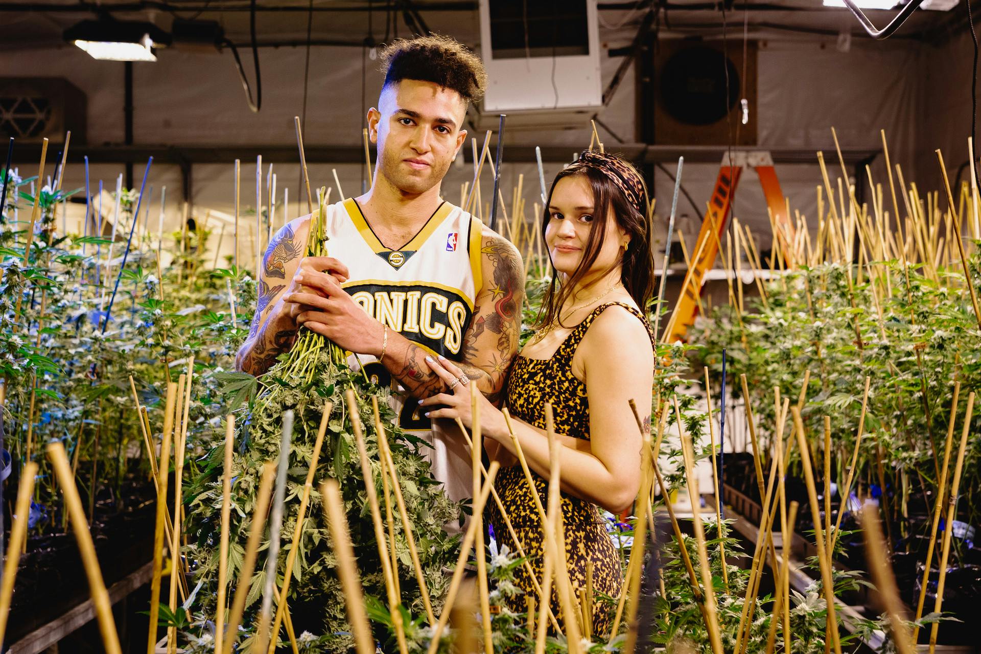 Magic Hour Cannabis knows and grows good weed image