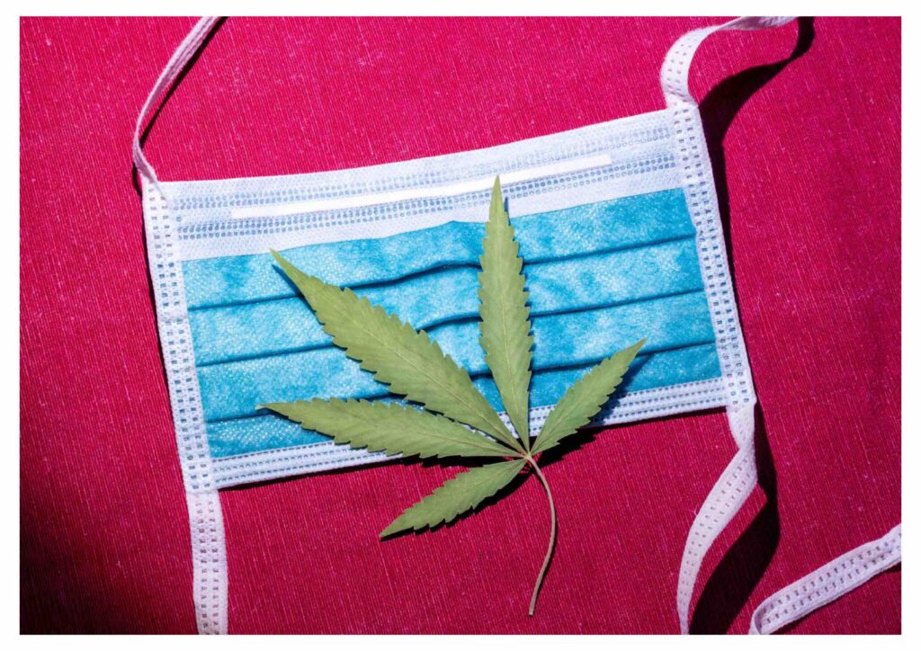 image-of-cannabis-leaf-and-pandemic-mask