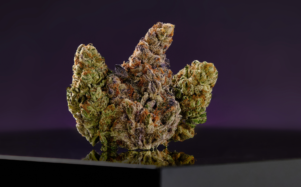 Photo of Iverson 96 cannabis nug against a purple background