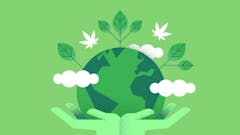 hands holding planet earth over green background with trees, clouds, and pot leaves