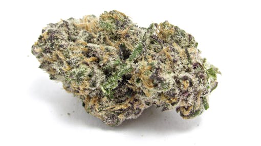 Connected Slow Lane (David Downs/Leafly)