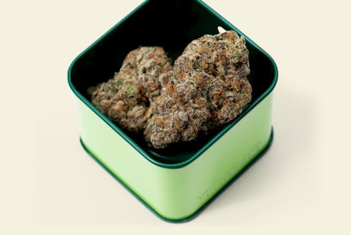 Houseplant Bomb Cyclone in Tin (Courtesy Houseplant)