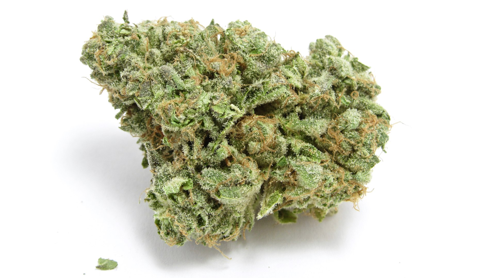 LA Family Farms Rainbow Belts marijuana strain