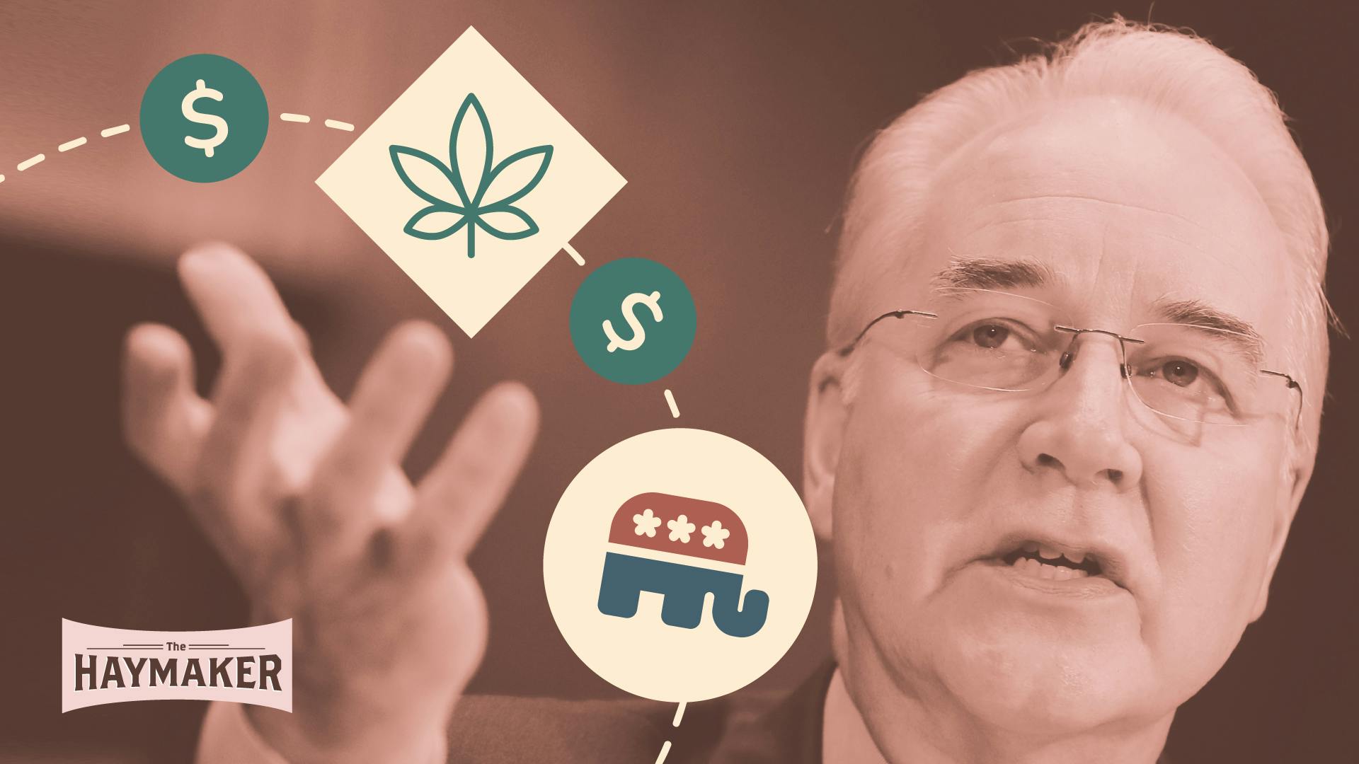 How should we react when a prohibitionist wins a marijuana license? image