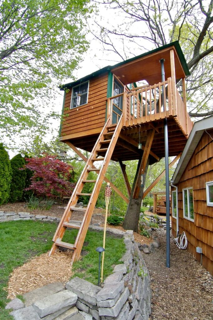 Picture-of-tree house