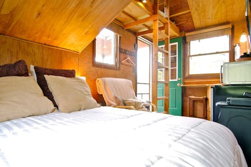 interior-of-treehouse-with-bed-and-ladder