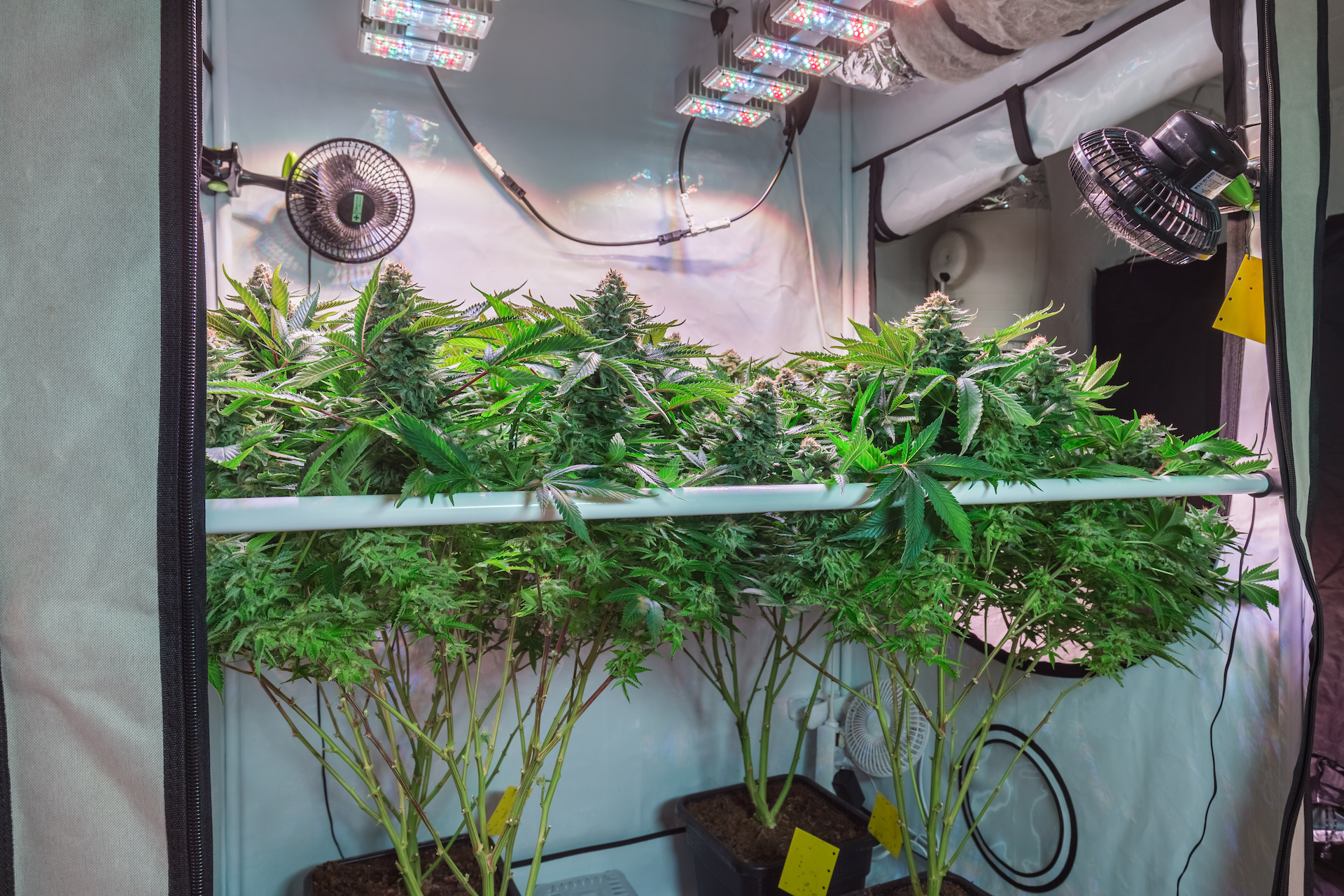 How to build a indoor grow room