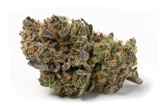 super lemon haze marijuana strain