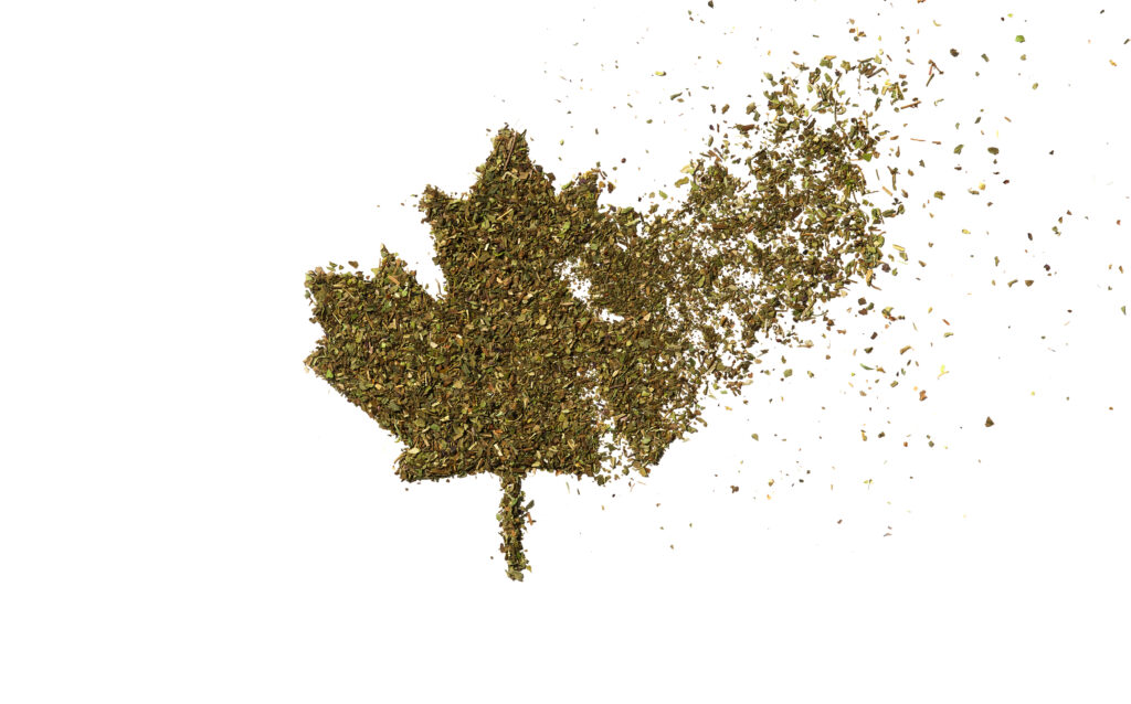 Canada flag made from weeds