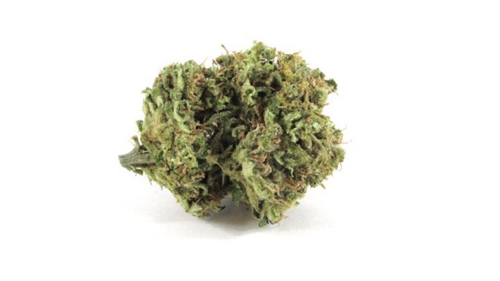 Canned Peaches (Courtesy Molecular Farms)