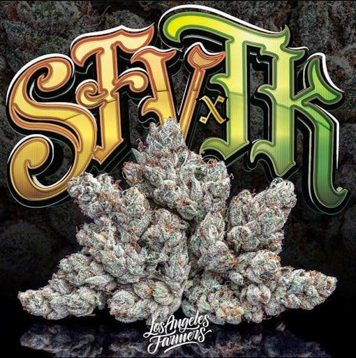 SFVTK (Courtesy Jungle Boys)