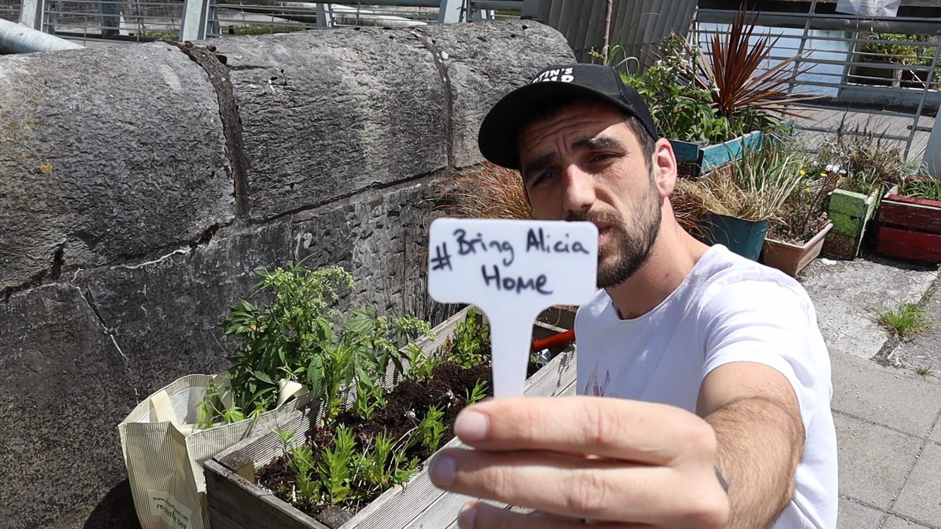 This Irish activist planted cannabis outside the Prime Minister’s office—and he’s not done yet