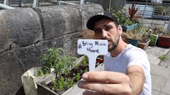photo-of-Martin-Confon-planting-cannabis
