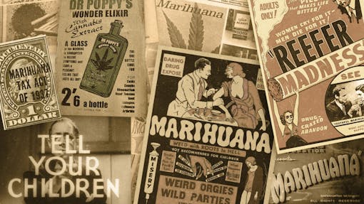 history of cannabis prohibition collage