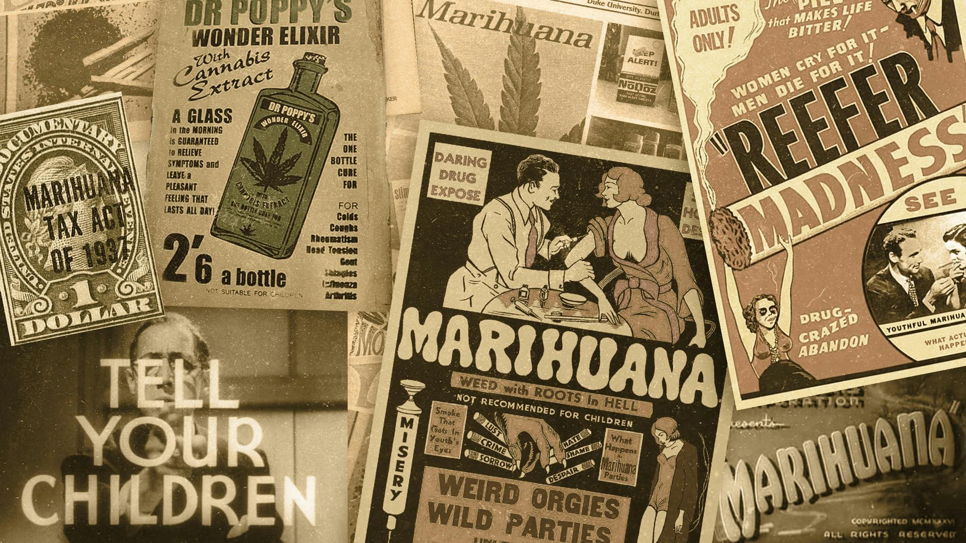 The history of cannabis prohibition in the United States image