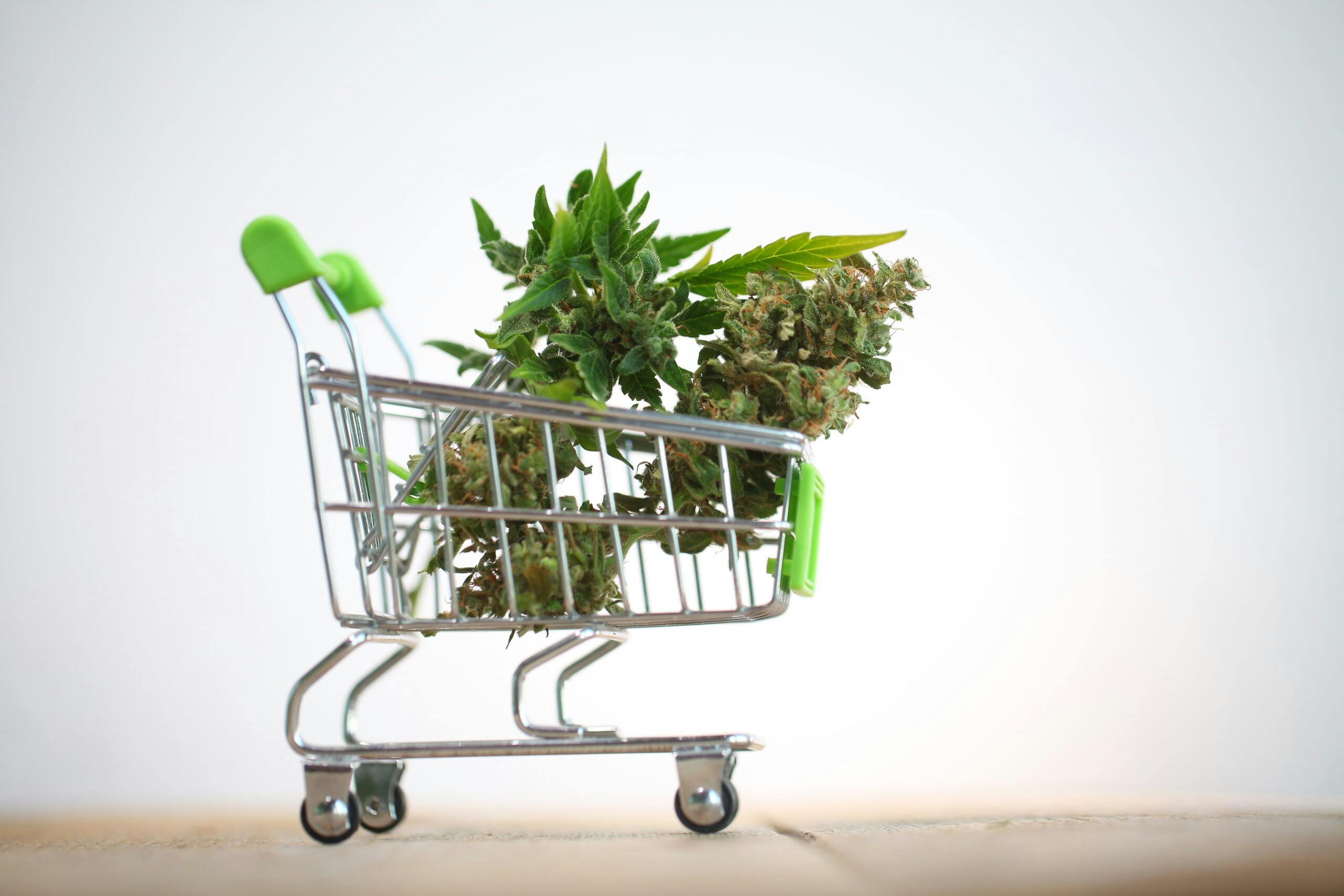 Retailers share the secret to buying good weed, every time image