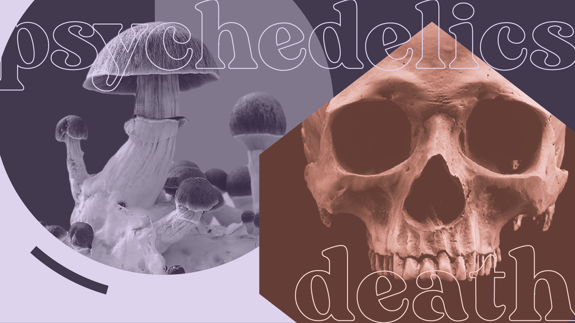 Death And Psychedelics: How Science Is Reviving This Ancient Connection ...