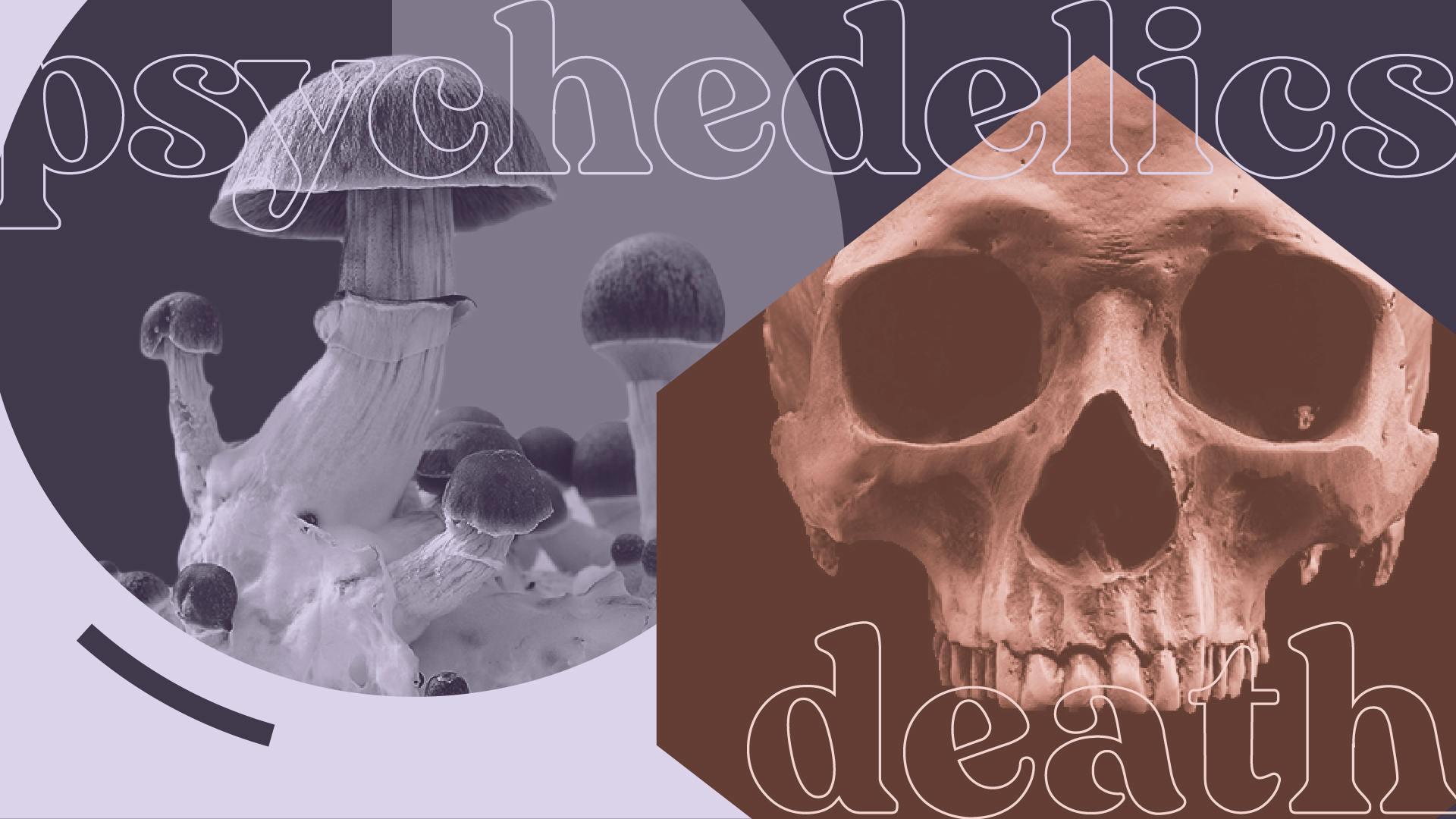 Death and psychedelics: How science is reviving this ancient connection image