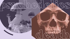 image-of-mushrooms-and-skull