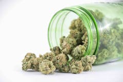 photo-of-cannabis-flower-in-a-jar