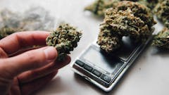 photo-of-cannabis-on-a-scale