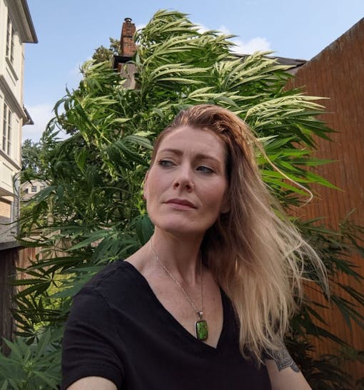 upward shot of woman basking in the sun, with a 9 foot weed plant behind her