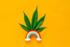 top view flat lay marijuana green leaf with colorful rainbow