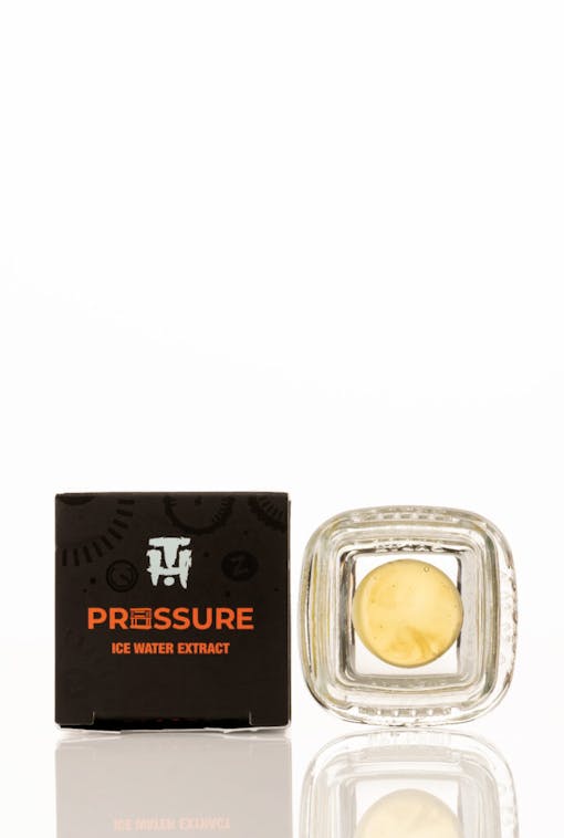Terp Hogz and Pressure collaborate on ice water extract. (Courtesy Pressure)