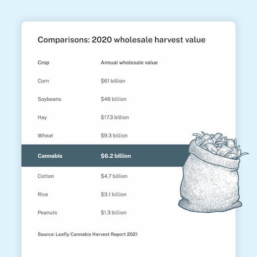 A crop value comparison table showing cannabis from 11 active legal states as ranking 5th in the nation against corn and other crops.