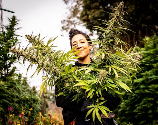 Gordon. (Courtesy Moon Made Farms)