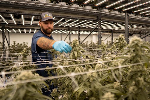 Brendan Delaney. (Courtesy Solar Therapeutics)