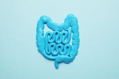 cannabis and gut microbiome