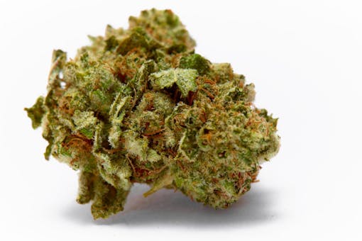 sour diesel marijuana strain