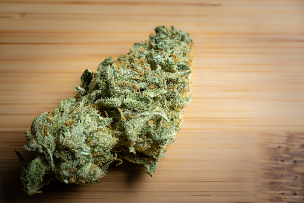 Cheese marijuana strain