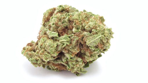 Farmer and the Felon Double OG Chem X Honey Buns. (David Downs/Leafly)