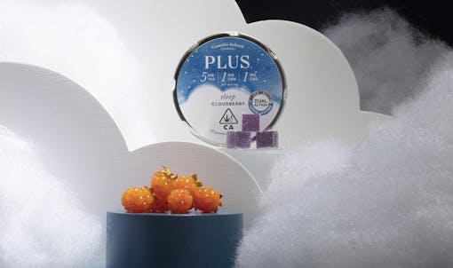 Dual Action Sleep Gummies