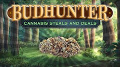 Leafly Budhunter illustration of a shuny nug in a forest like the logo for buckhunter.(Leafly)