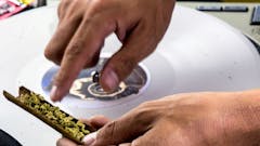 Having trouble choosing or recommending new strains? Leafly mapped the six main strain types to music genres to sort through the noise. (AdobeStock)